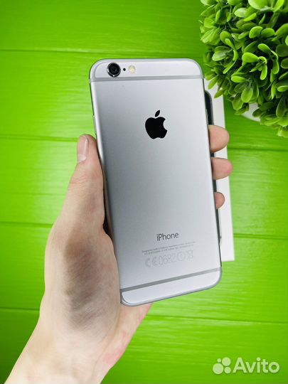 iPhone 6, 16 ГБ