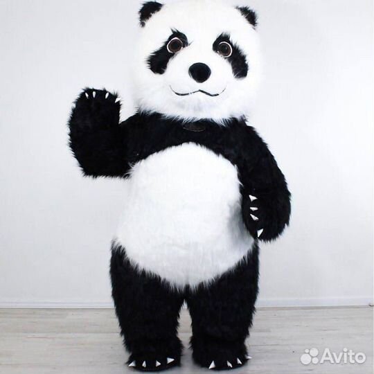 Экспресс поздравление аниматор