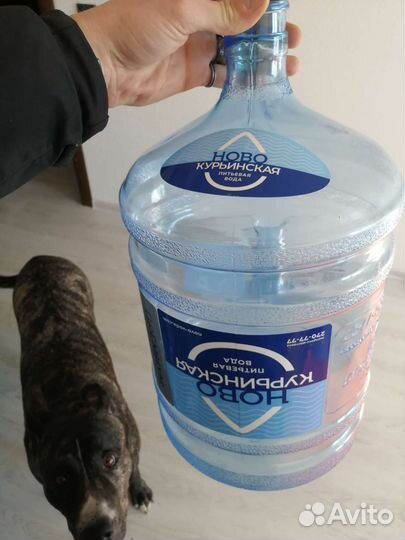 Бутыли 19 литров с ручкой