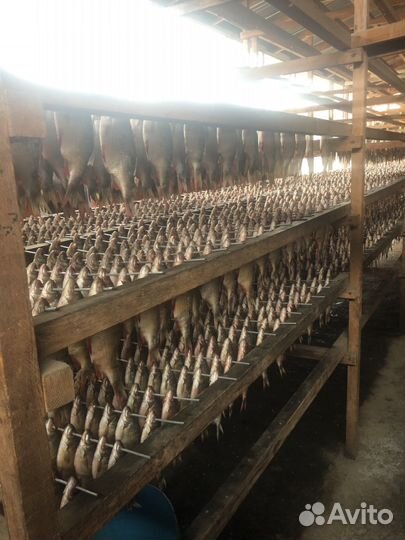 Рыба / от производитель