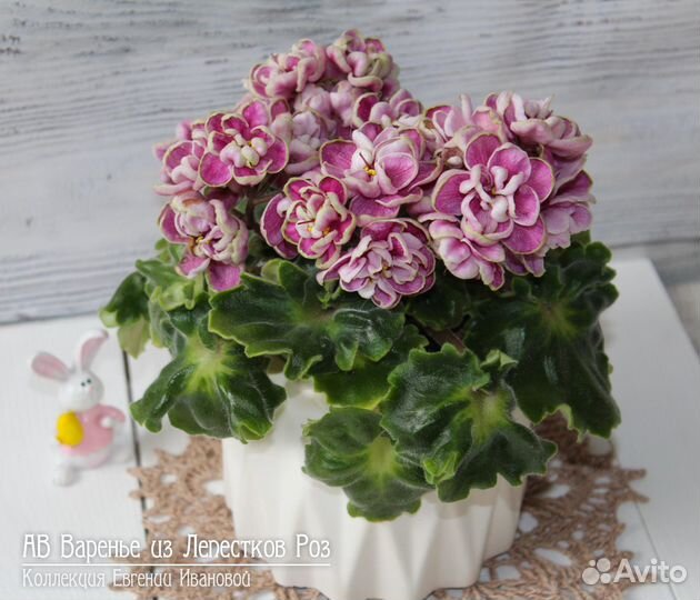 Ав Варенье из Лепестков Роз -фиалка