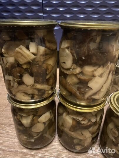 Грибы валуи грузди 2023