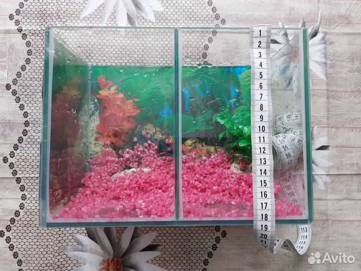 Аквариум для рыбки петушка(2 секции)