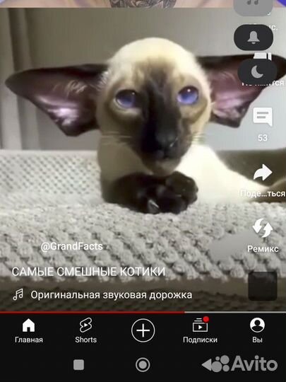 Мадара ручной работы сначала писать
