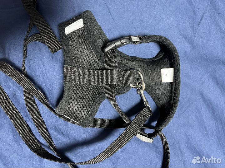 Ошейник для маленькой собаки