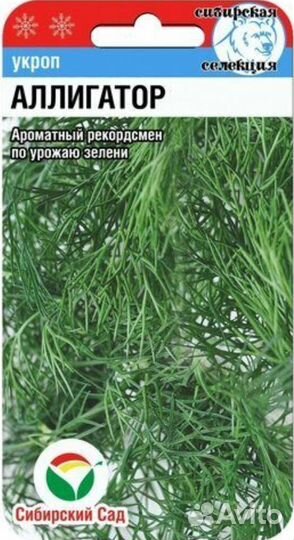 Семена укроп в ассортименте