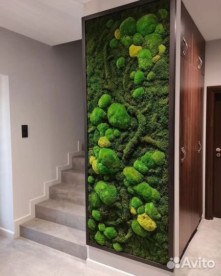 Стены, панно, картины из мха растений. Арт256, от