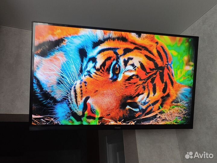 Телевизор Haier 32 SMART TV S1