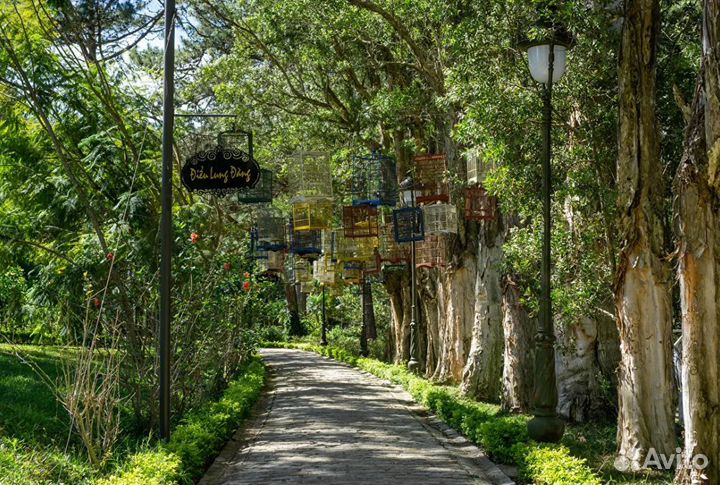 Тур во Вьетнам 10 дн