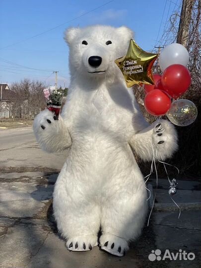 Белый мишка поздравление