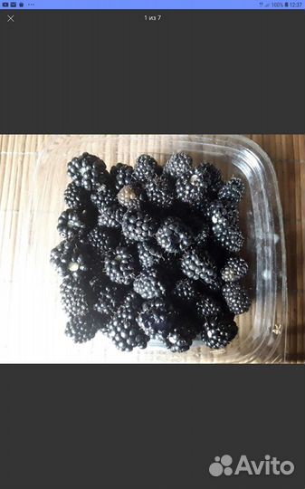 Продажа растений