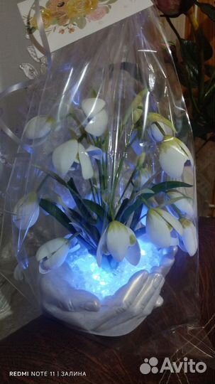 Подснежники ночник