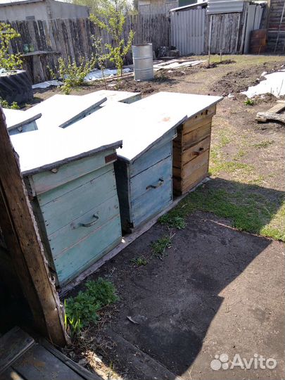 Продам ульи для пчел
