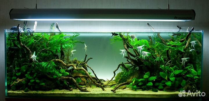 Аквариум