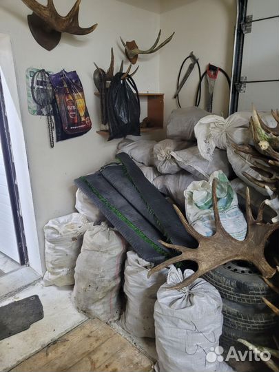 Продам много чаги