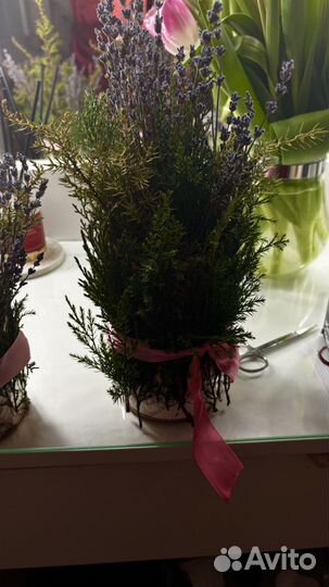 Уникальные букеты из лаванды и можжевельника