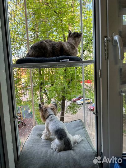 Балкончик для кошки, выгул на окно для кота