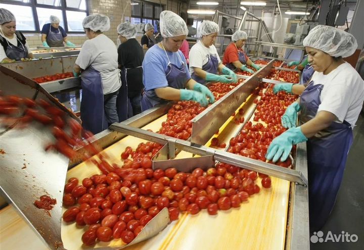 Рабочий на консервный завод Вахта с проживанием