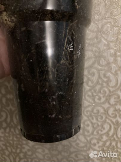 Розовый зефирантес