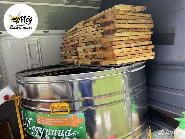Мёд горный, липовый, гречишный. Урожай 2023