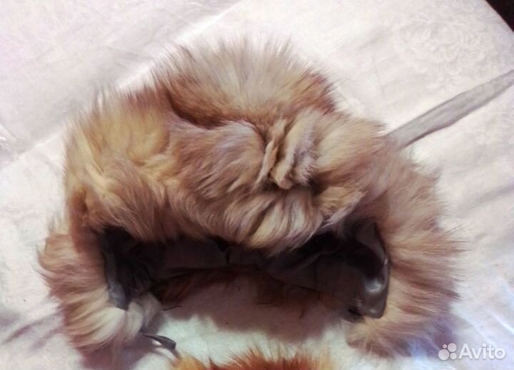 Шапка песец