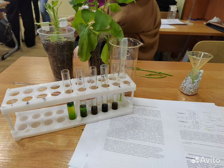 Репетитор по биологии к егэ