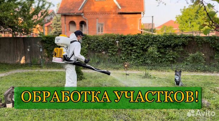 Уничтожение тараканов, клопов, блох, грызунов