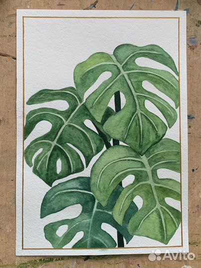 Картина. Листья монстеры. (Акварель)