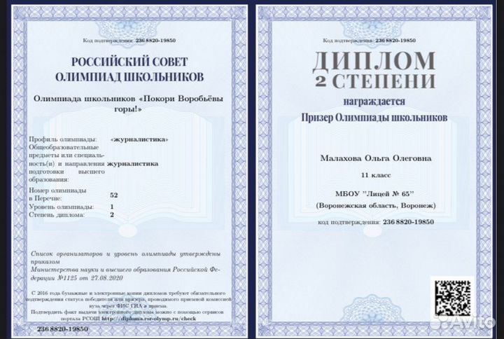 Репетитор дви/егэ по журналистике и литературе