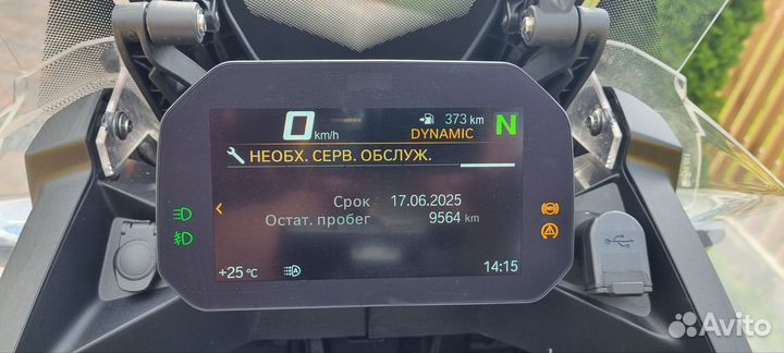 Юбилейный жирный гусь