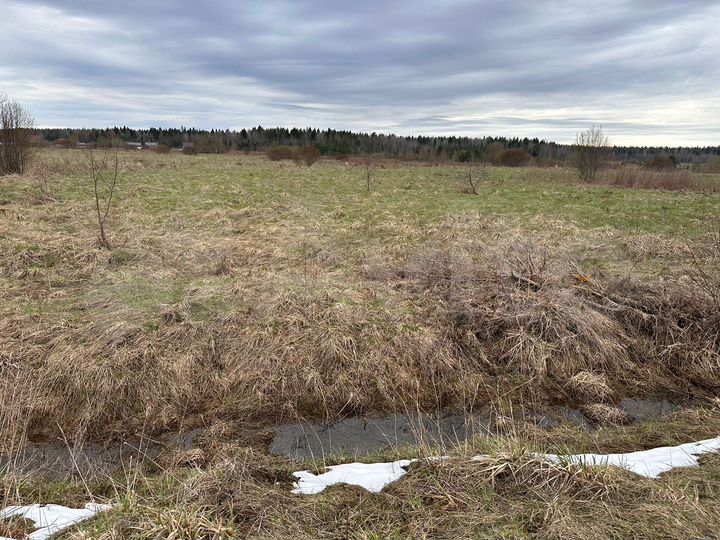 Участок 3,92 га (СНТ, ДНП)