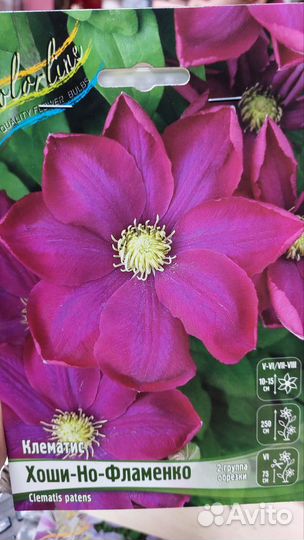 Астра, платикодон, морозник, прострел, кровохлебка