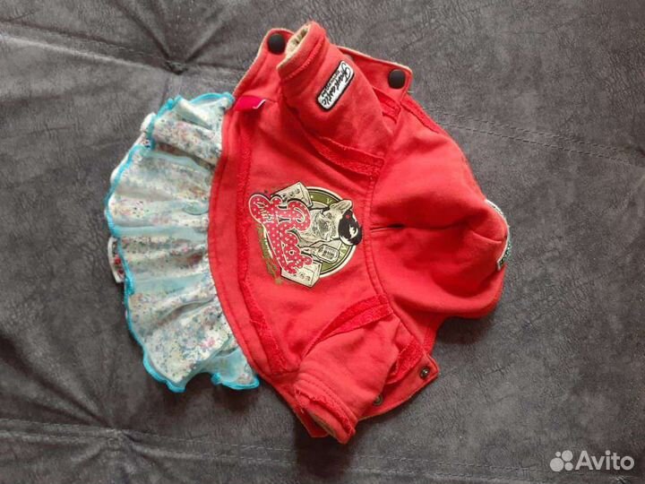 Одежда для маленьких пород собак