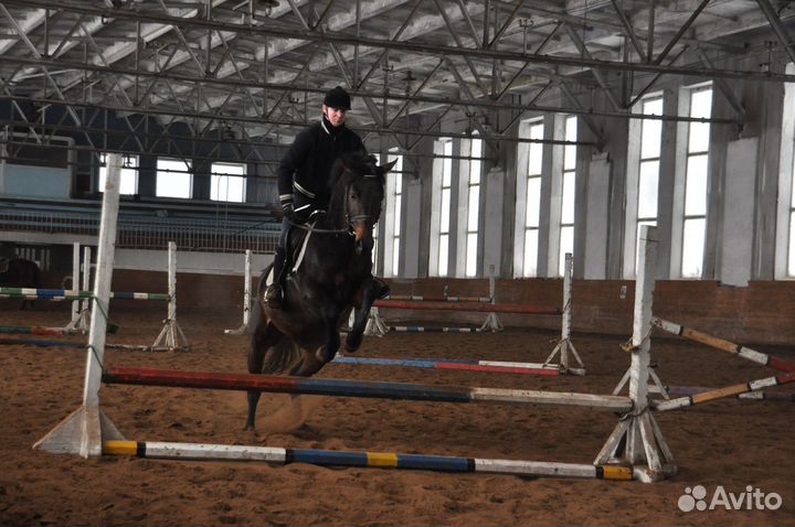 Конные прогулки и обучение