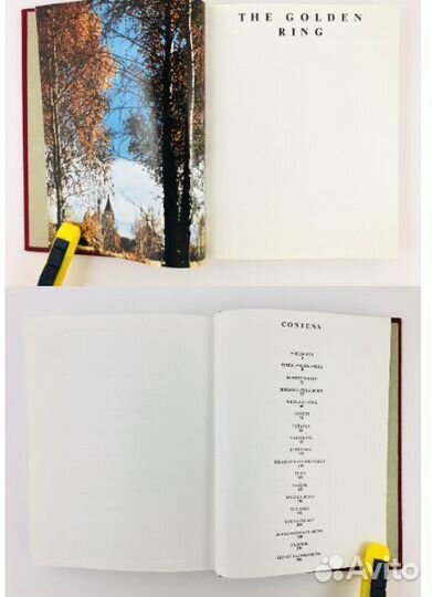 The golden ring (золотое кольцо) 1976