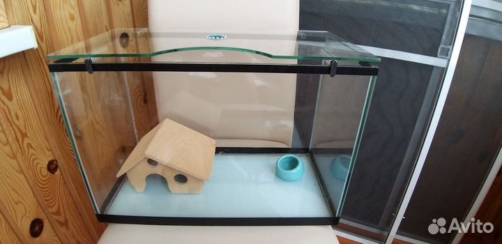 Аквариум