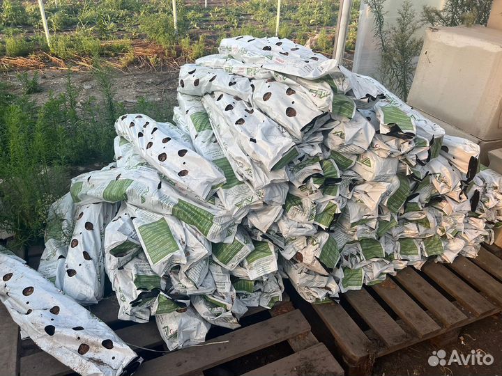 Кокосовый субстрат клубника