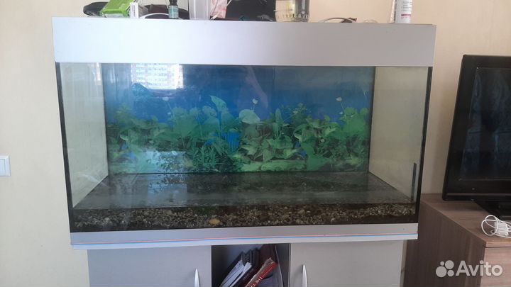 Украшение для аквариума