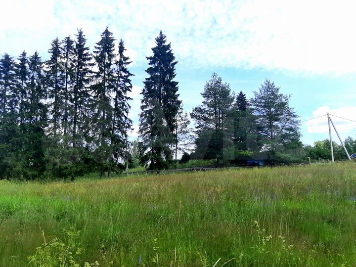 Участок 100 сот. (СНТ, ДНП)