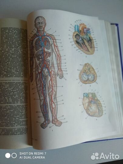 Книга популярная медицинская энциклопедия