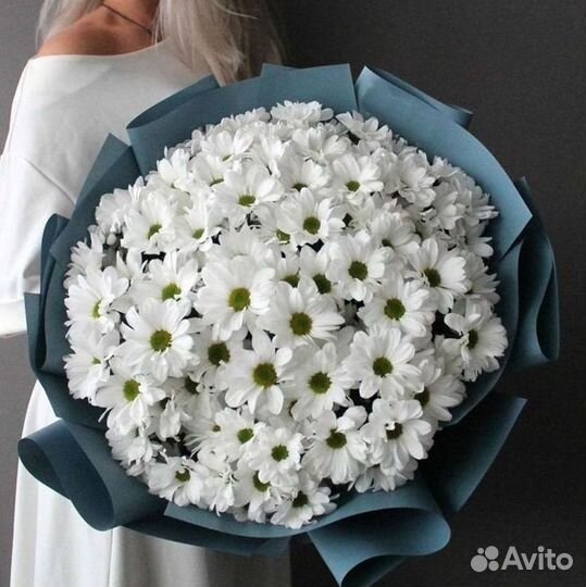 Хризантема