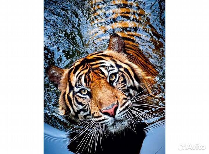 Алмазная мозаика на подрамнике Тигр Вода