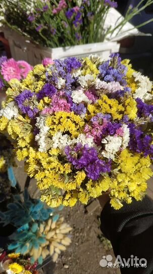 Статица букеты сухоцветы