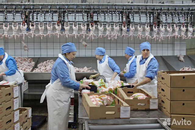 Фасовщик полуфабрикатов