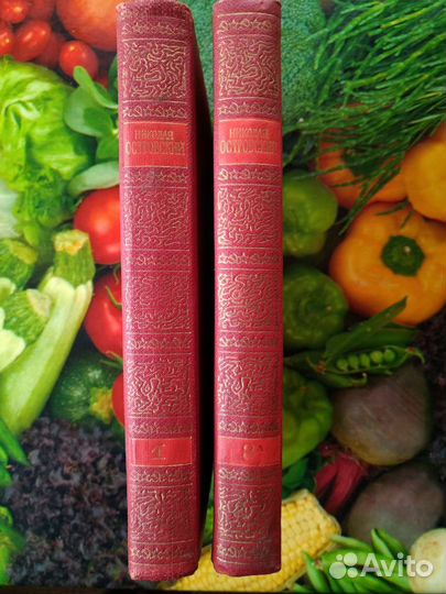 Николай Островский