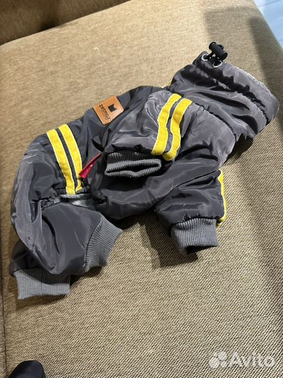 Одежда для маленьких собак