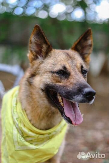 Ларочка в поиске родителей