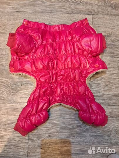 Комбинезон для маленькой собаки