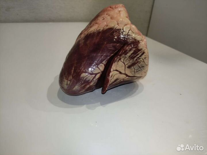 Мясо говядина для собак