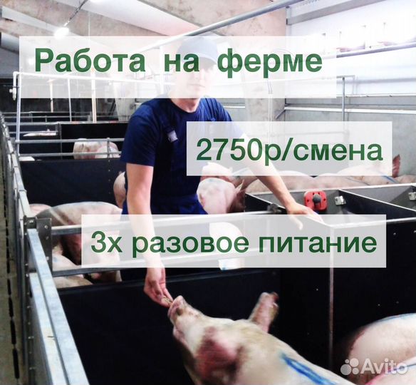 Вахта по уходу за животными